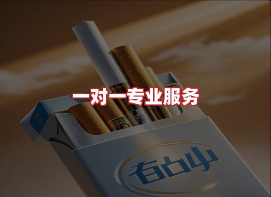 专业团队